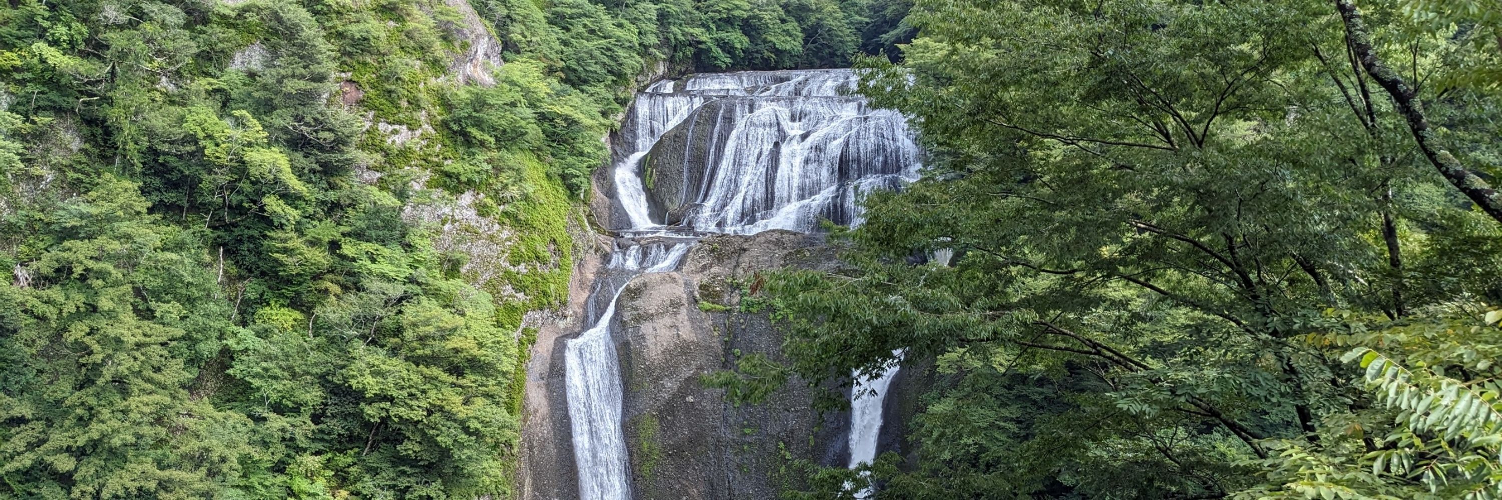 ヒトトセ