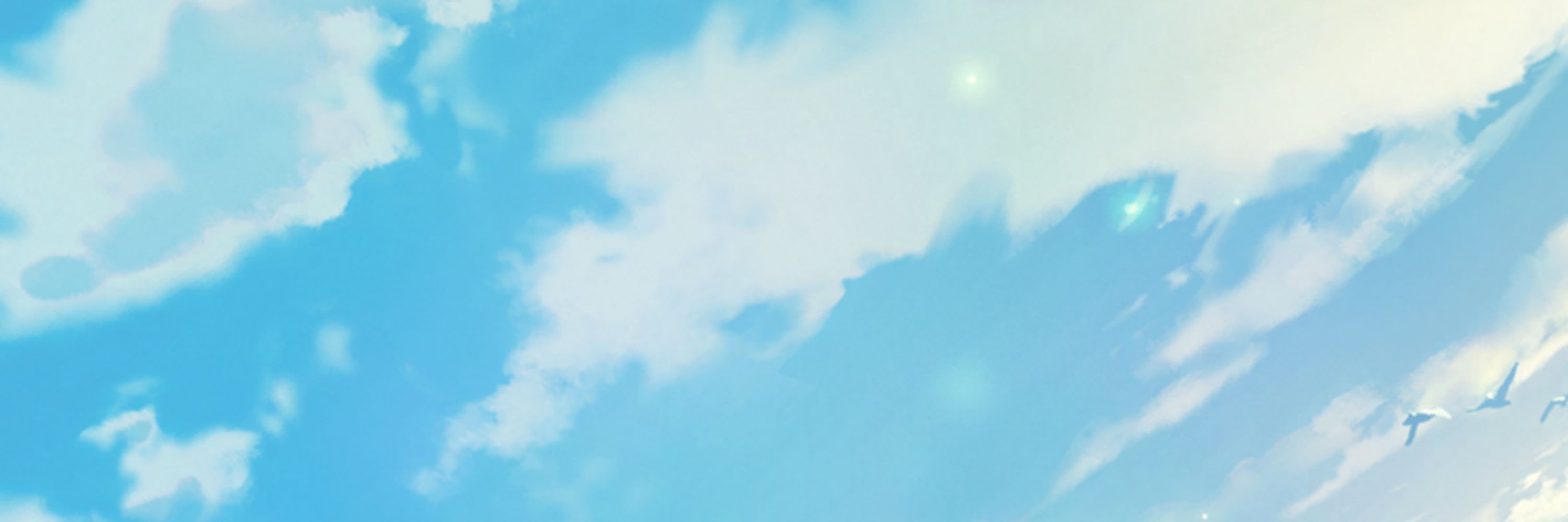 A plane