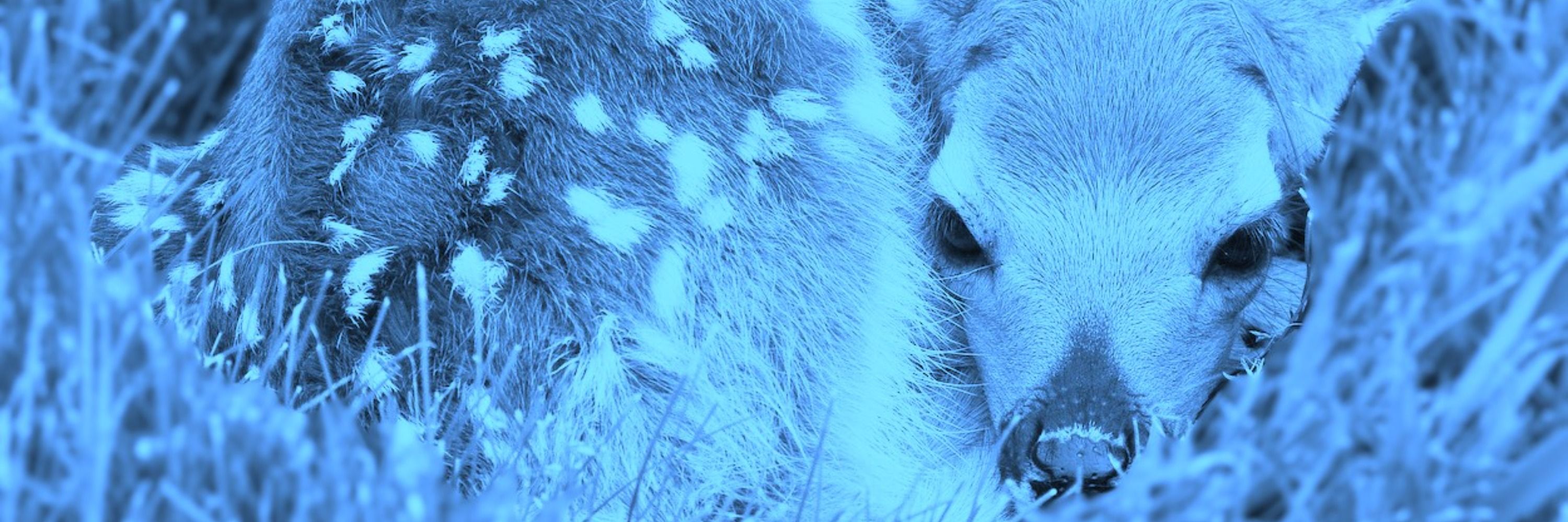 Azul