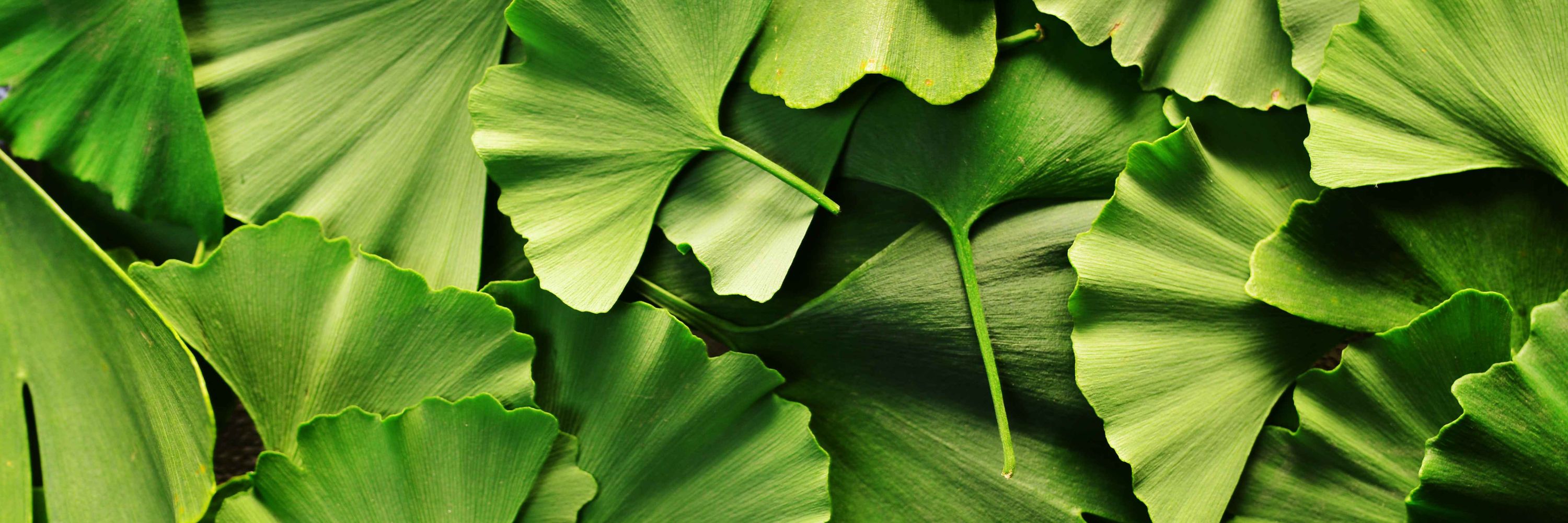 Nutraceuticals Group
