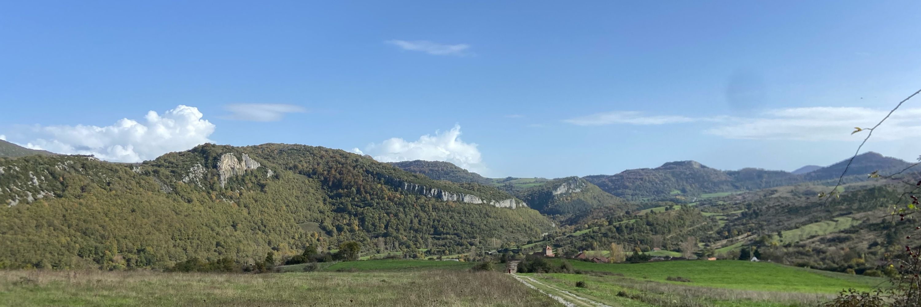izeia igea