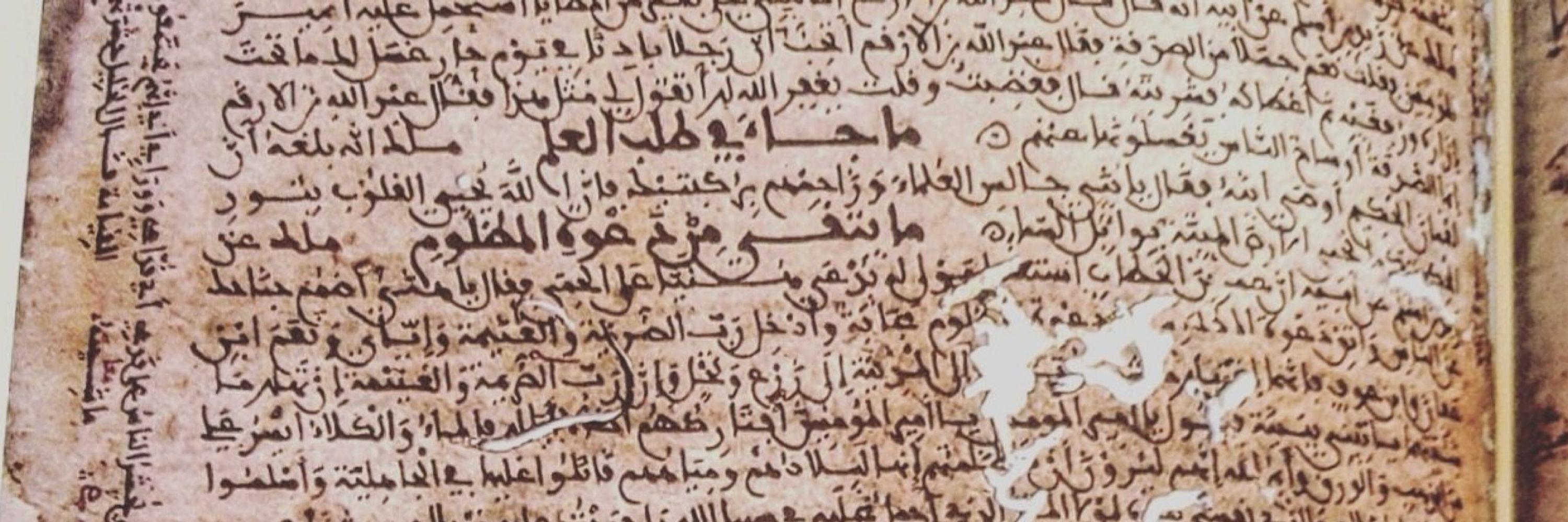 Tourab