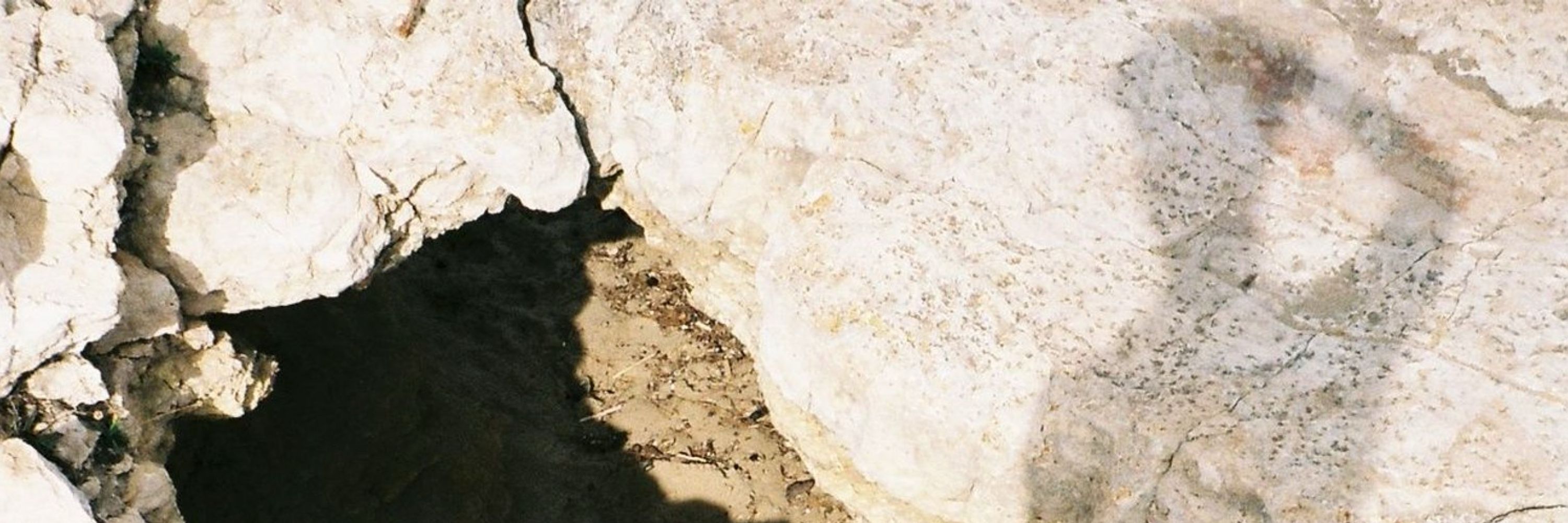 Diego Ezía