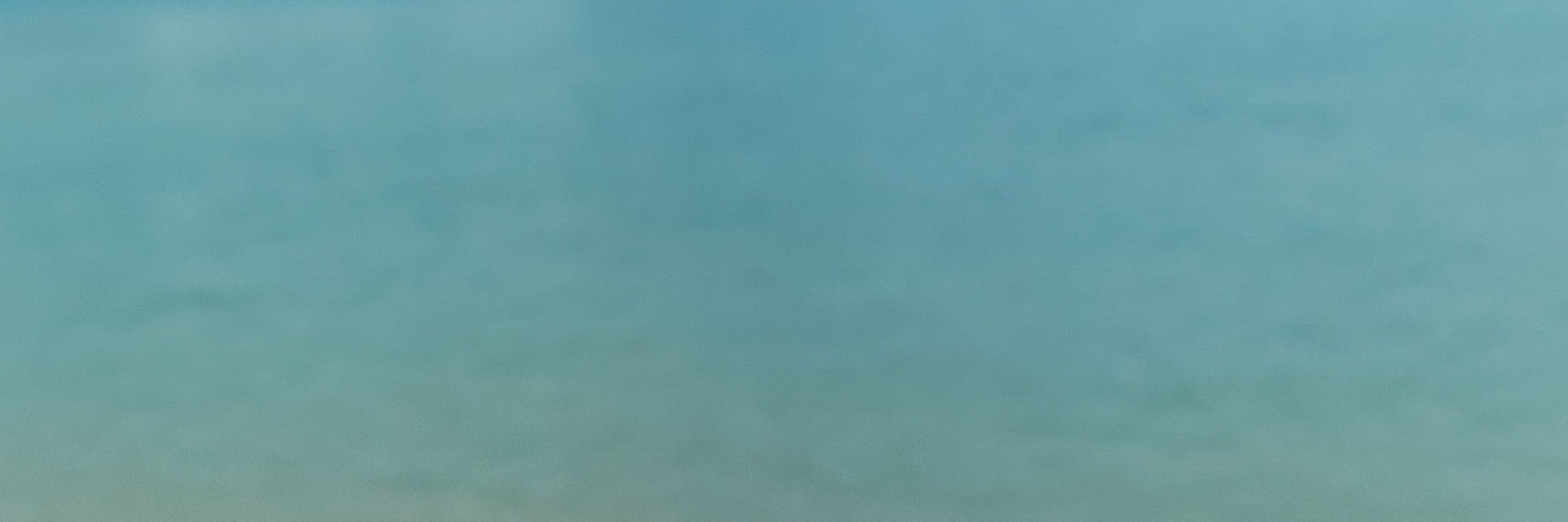 ZN