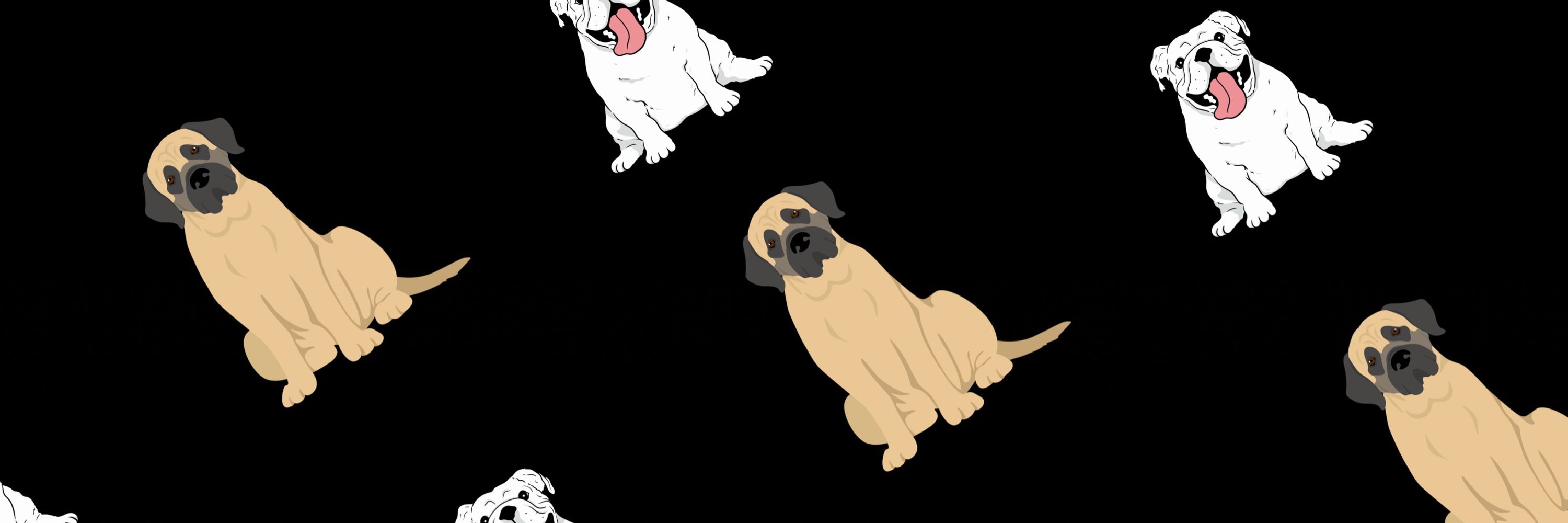 Hattie The English Mastiff