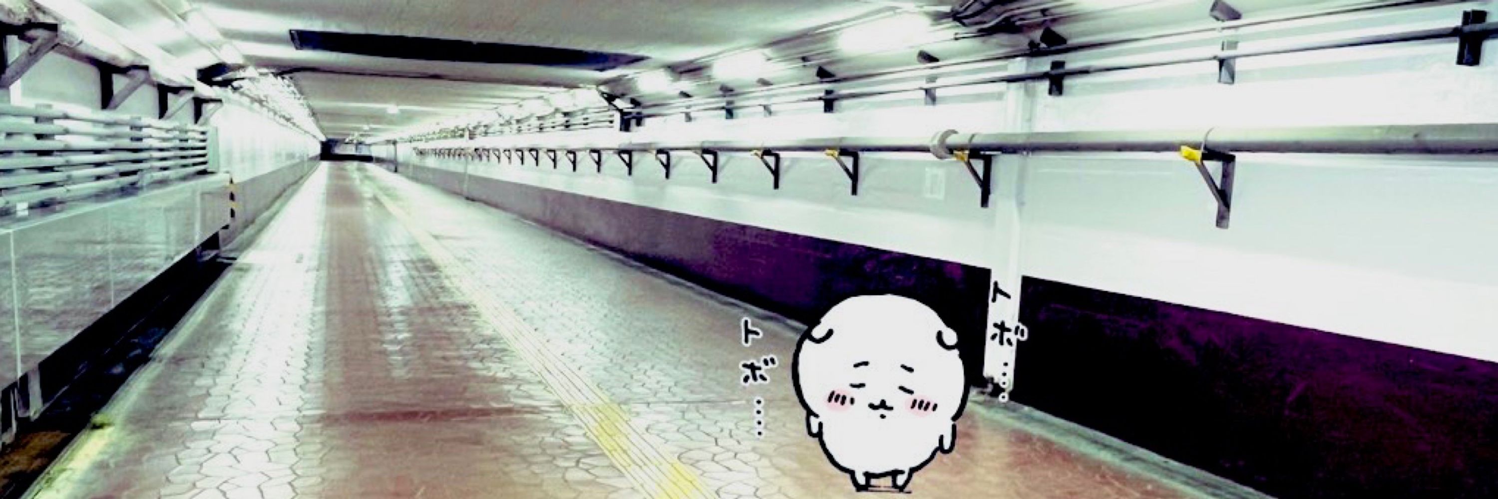 し た ん