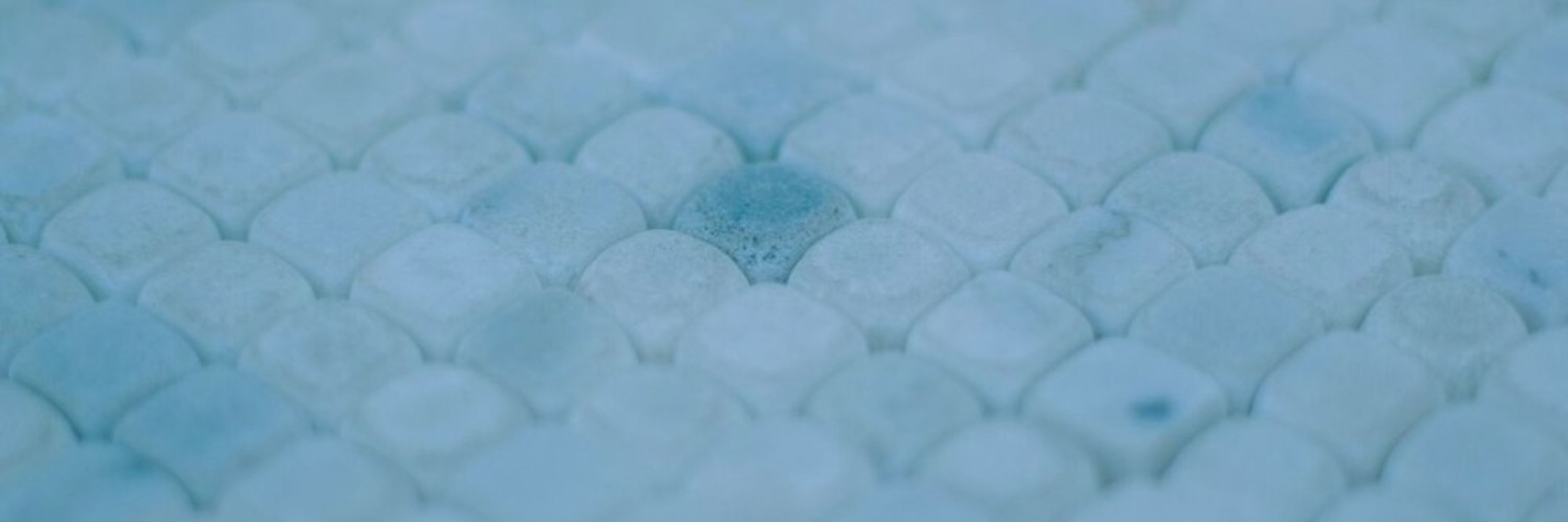ｴｲ🐻‍❄️