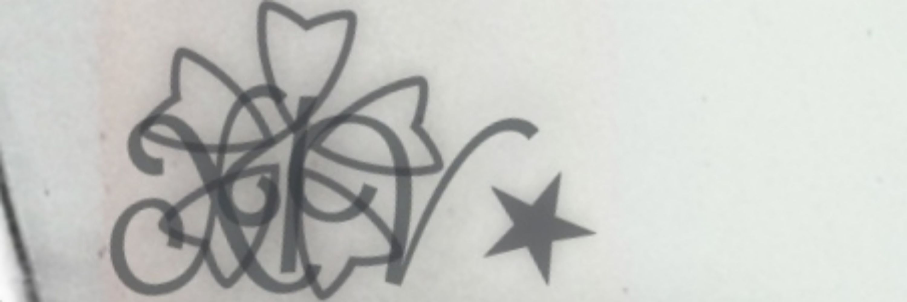はこ