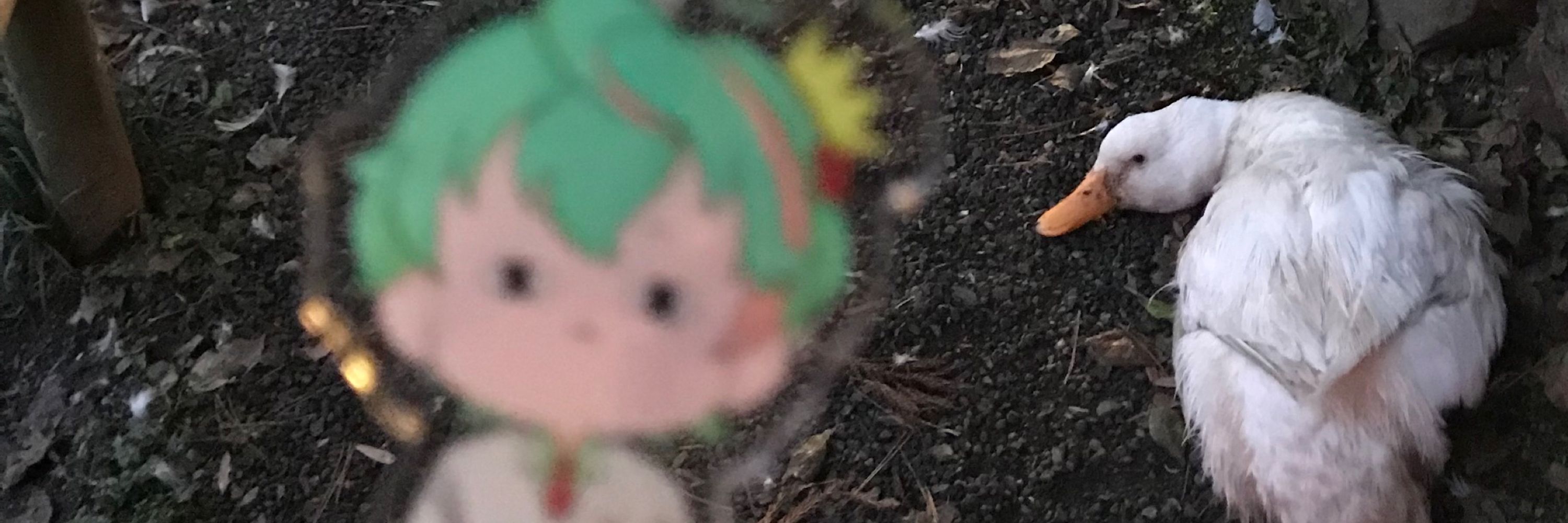 Sayo