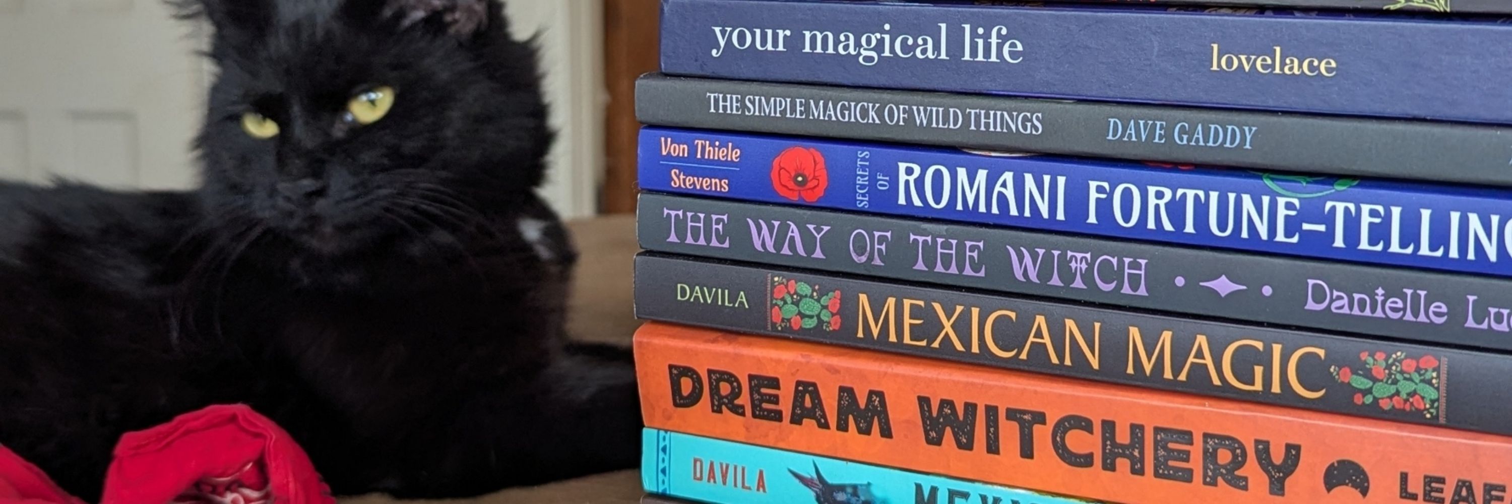 Solitary Witch Books