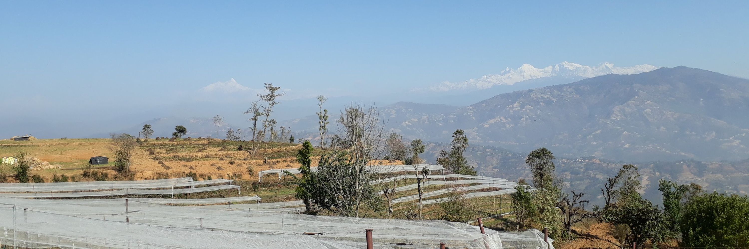 Dixit Poudel