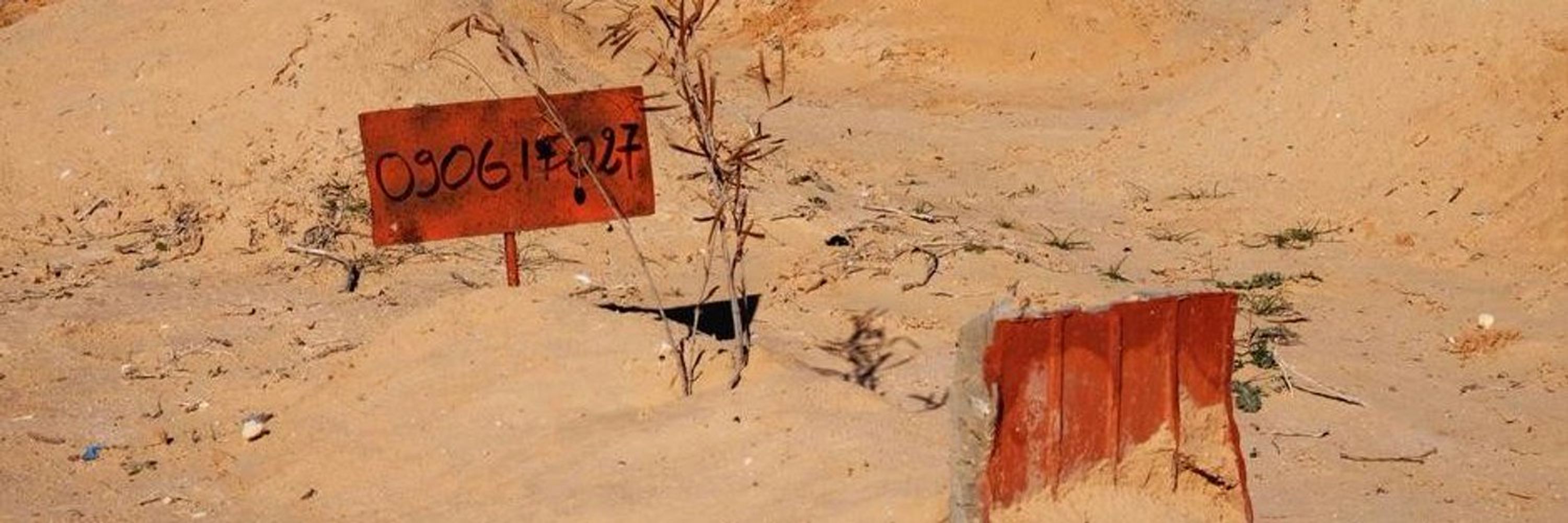 Forensic Missing Migrant Initiative