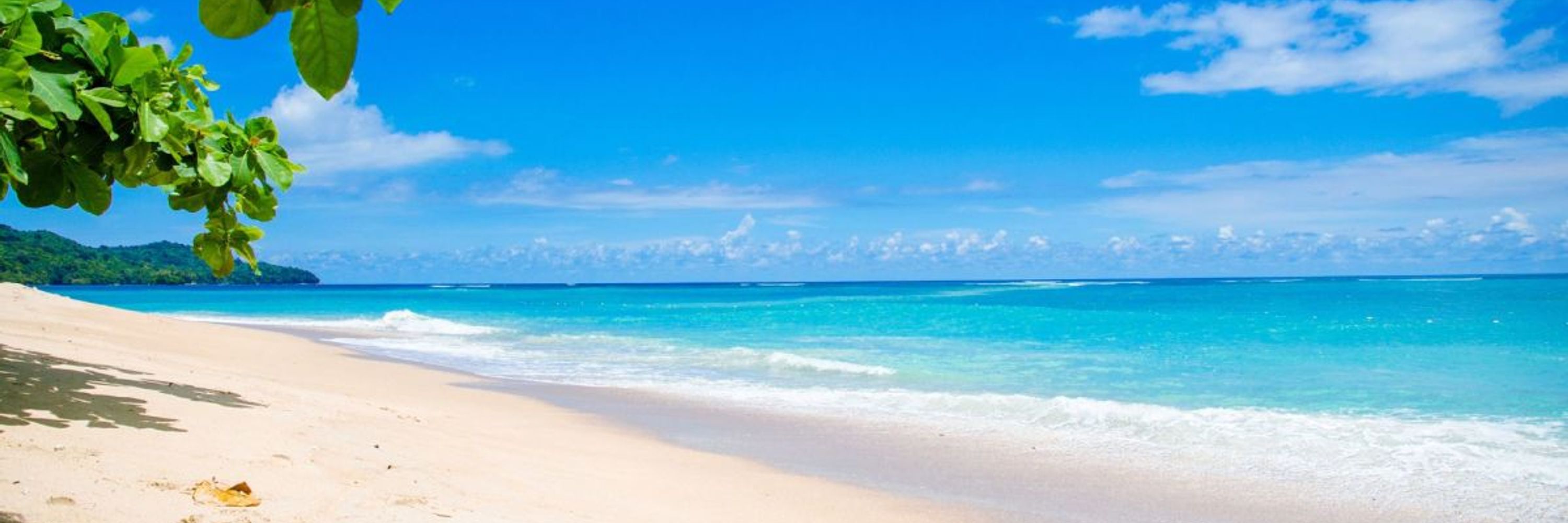 The Caribbean Registry