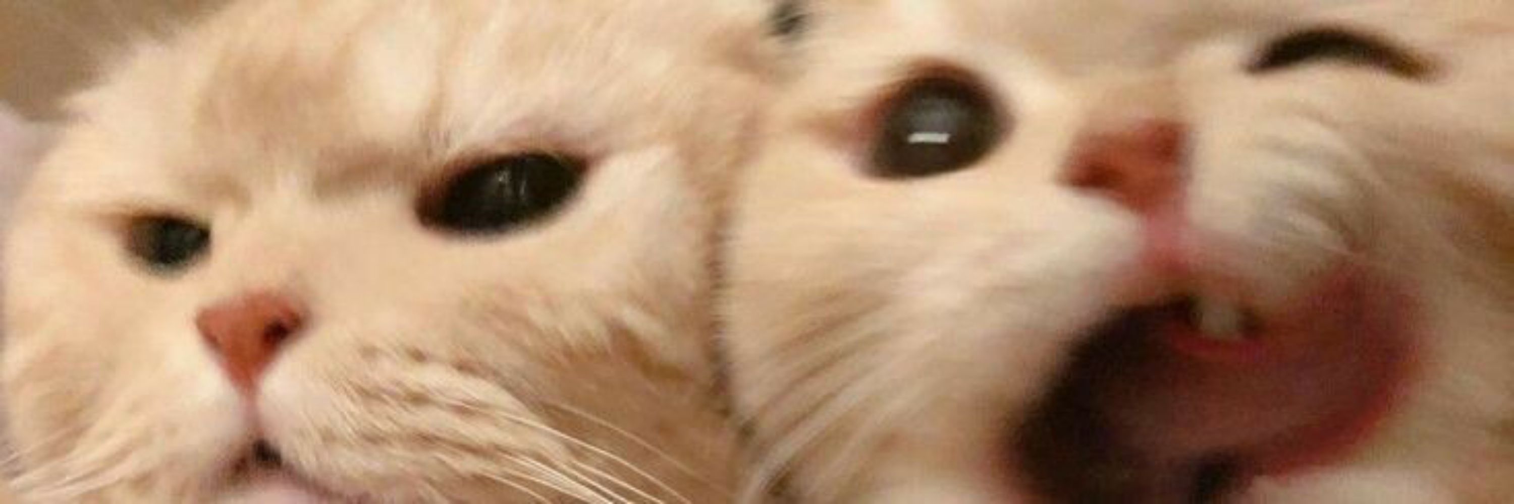💋