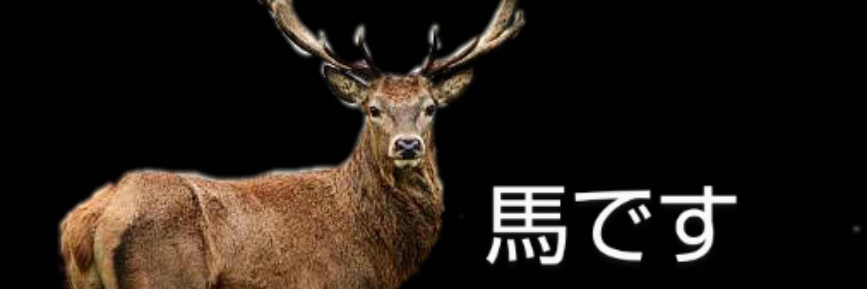 あかふ