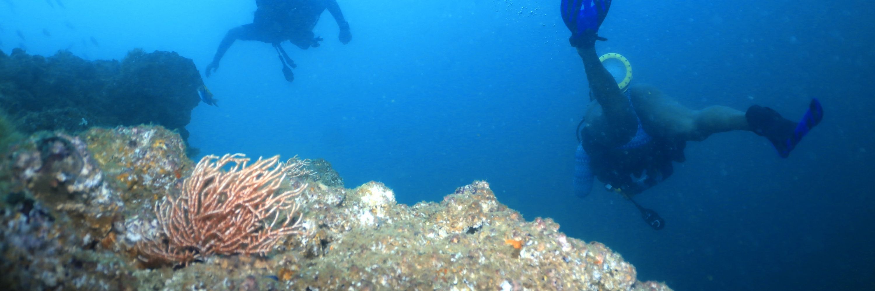 Diva In The Deep Scuba