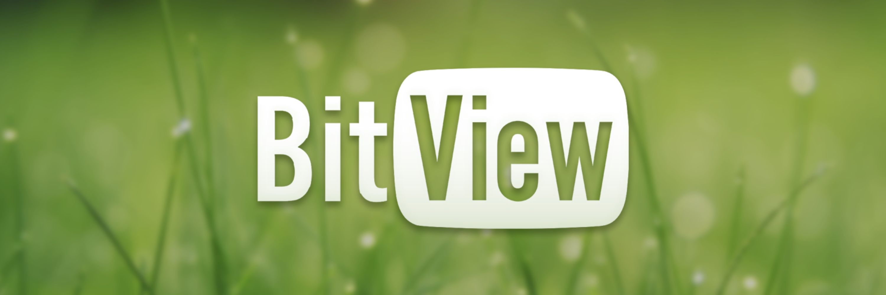 BitView