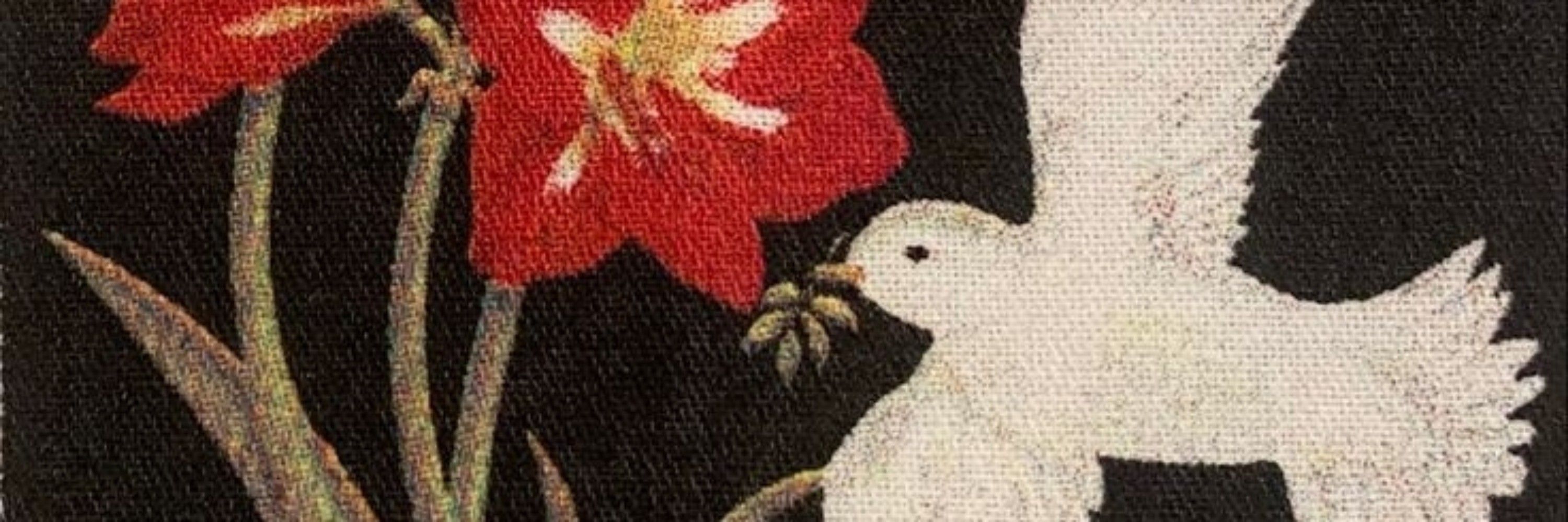 paloma