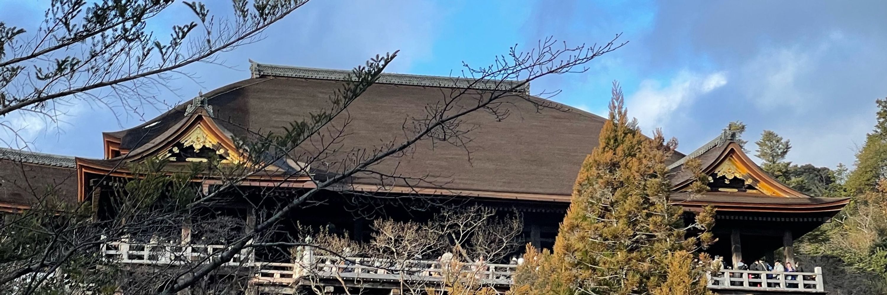 酸素缶