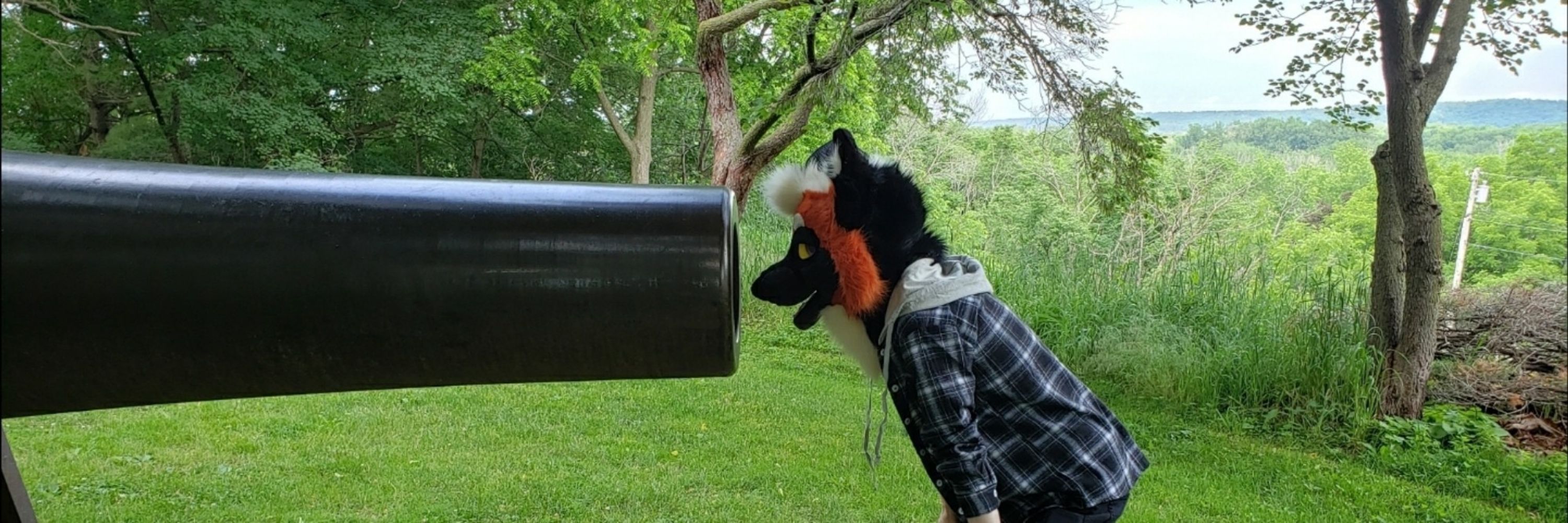 zeeleafs/salem @ tff
