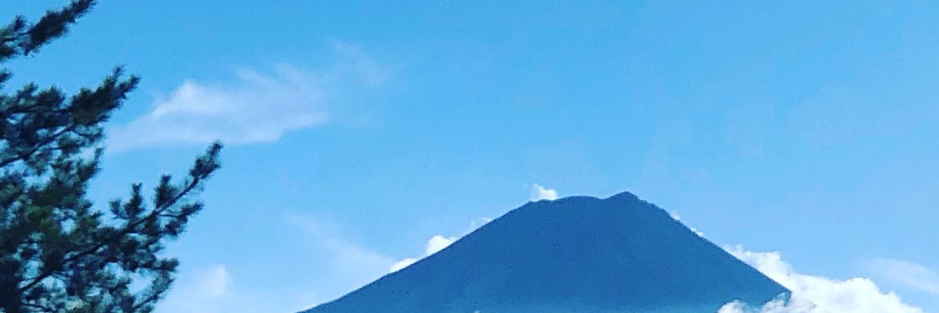 さかもと