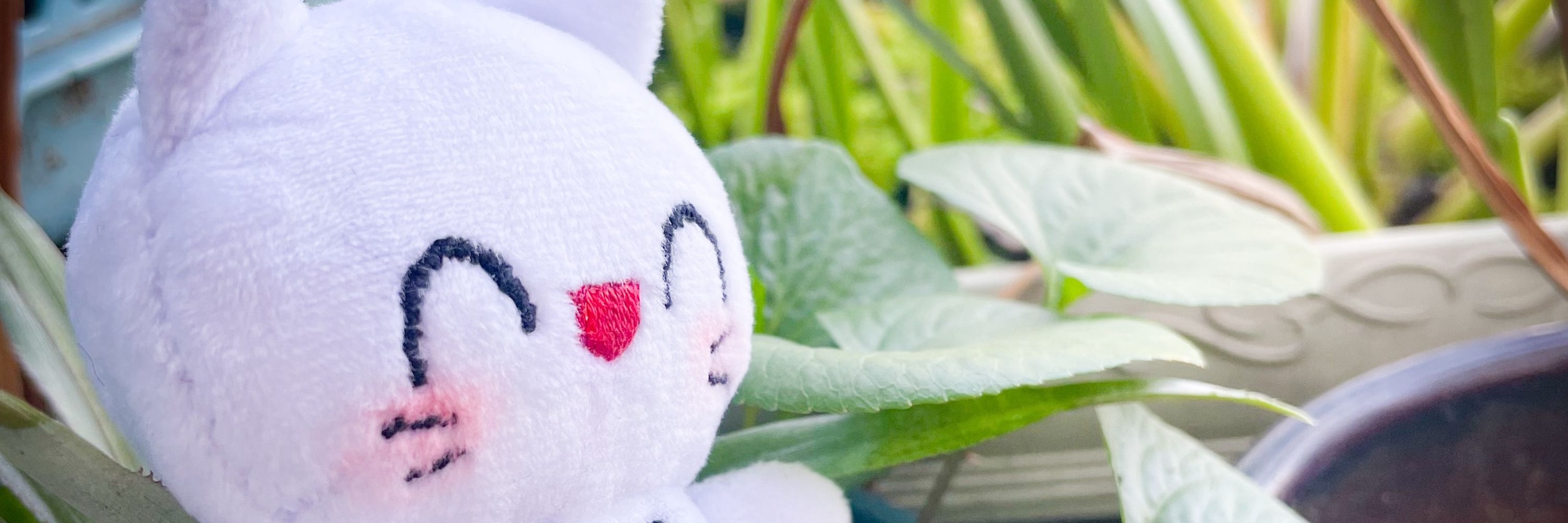 しゃんぷー