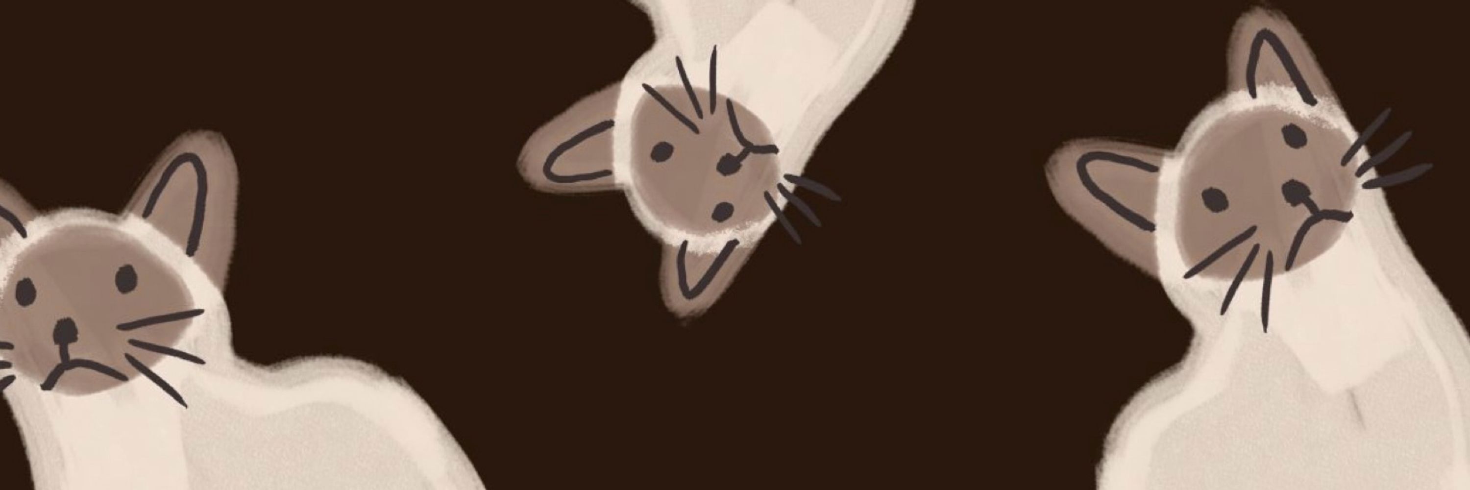 spoot