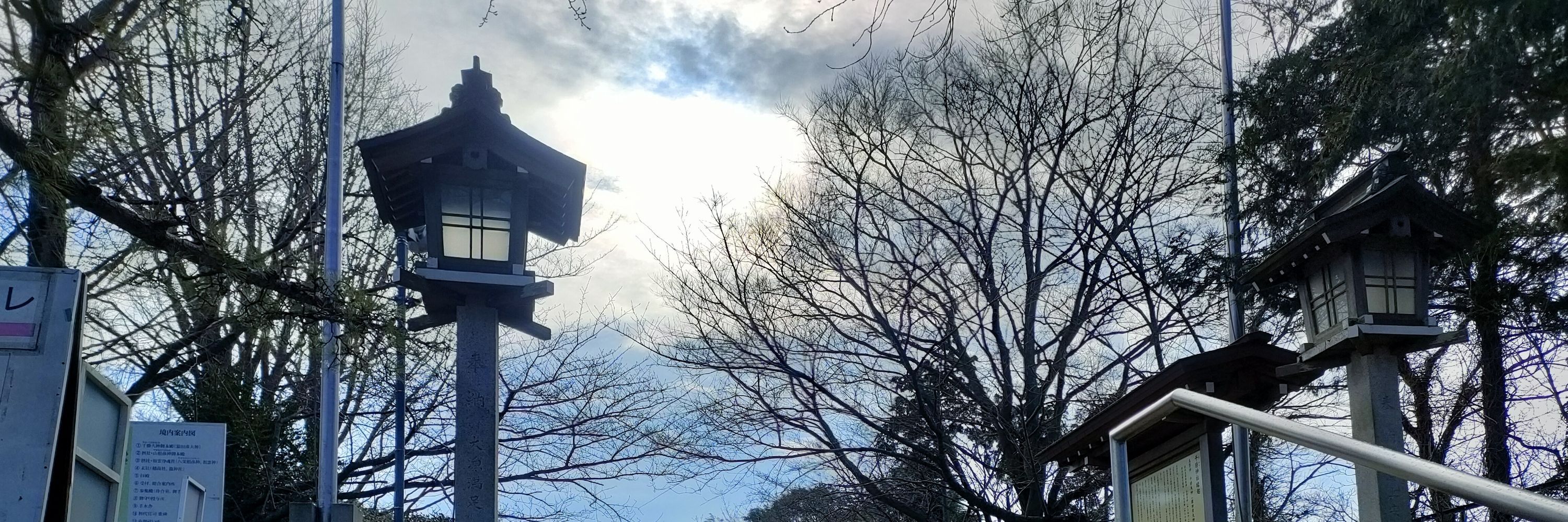 ちびねこ