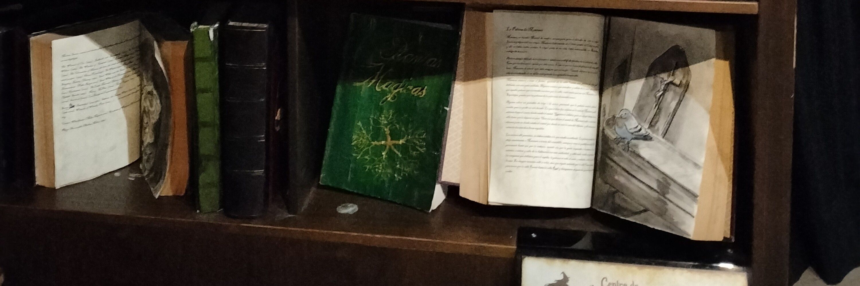 Áncora Vamara