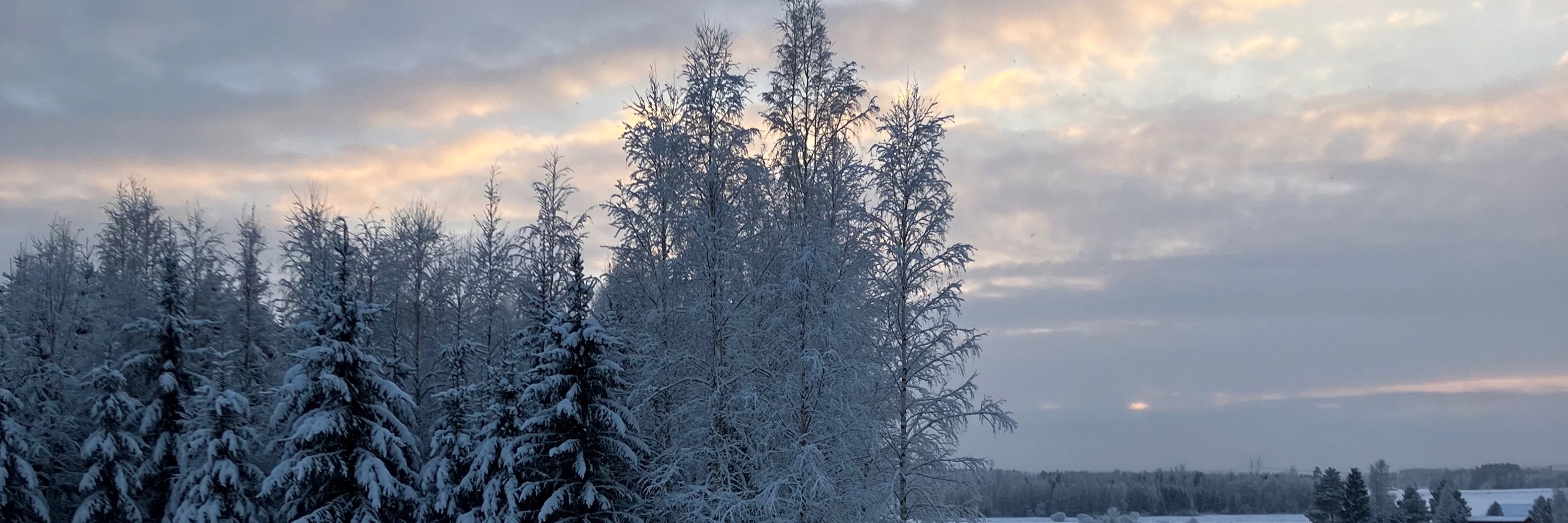 Kaisa Lällä