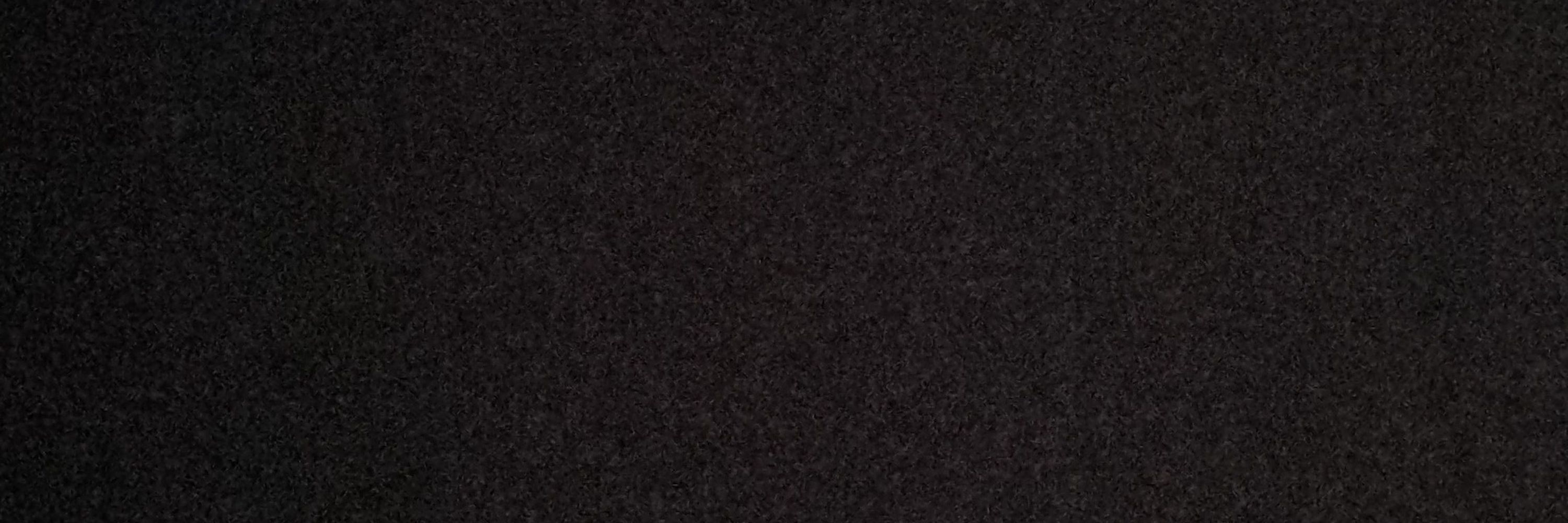 NslyArtr