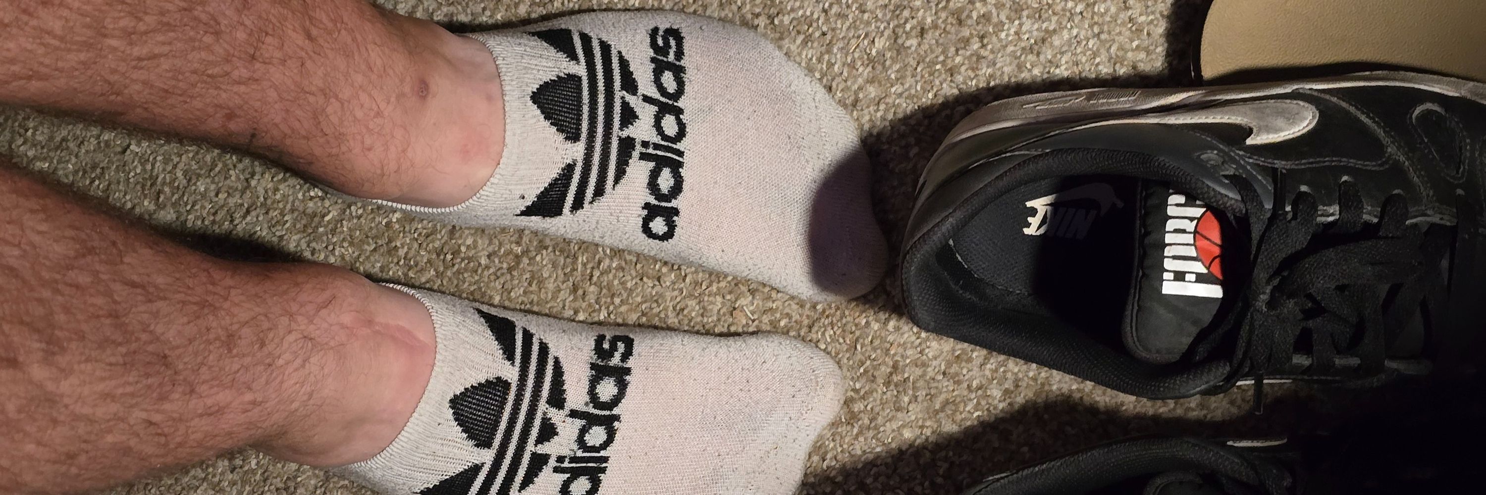 huskysockguy 🧦🔥20% off OF🔥🧦