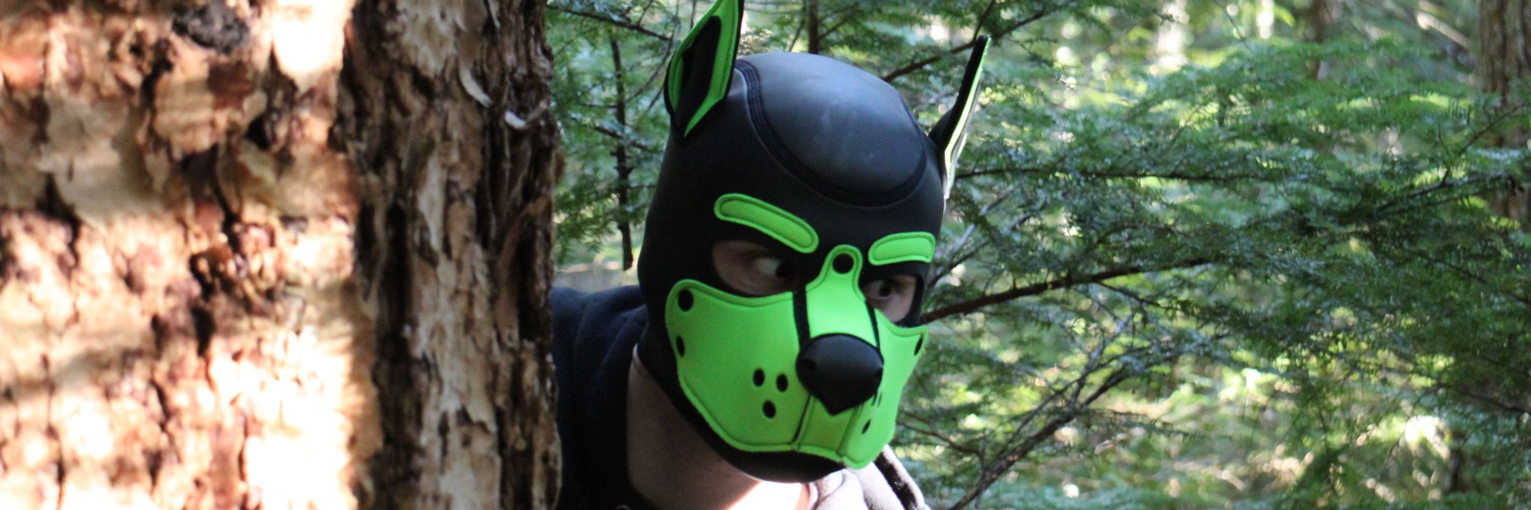 Pup Skippy 🔜 My Den :3