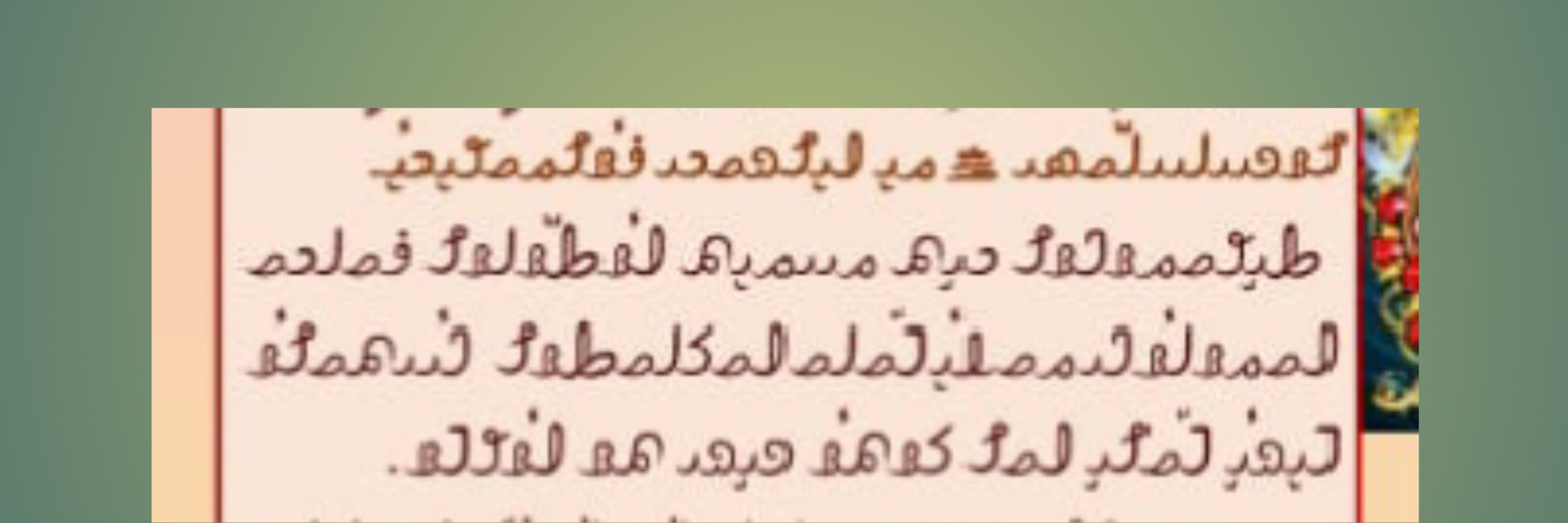 Hasan