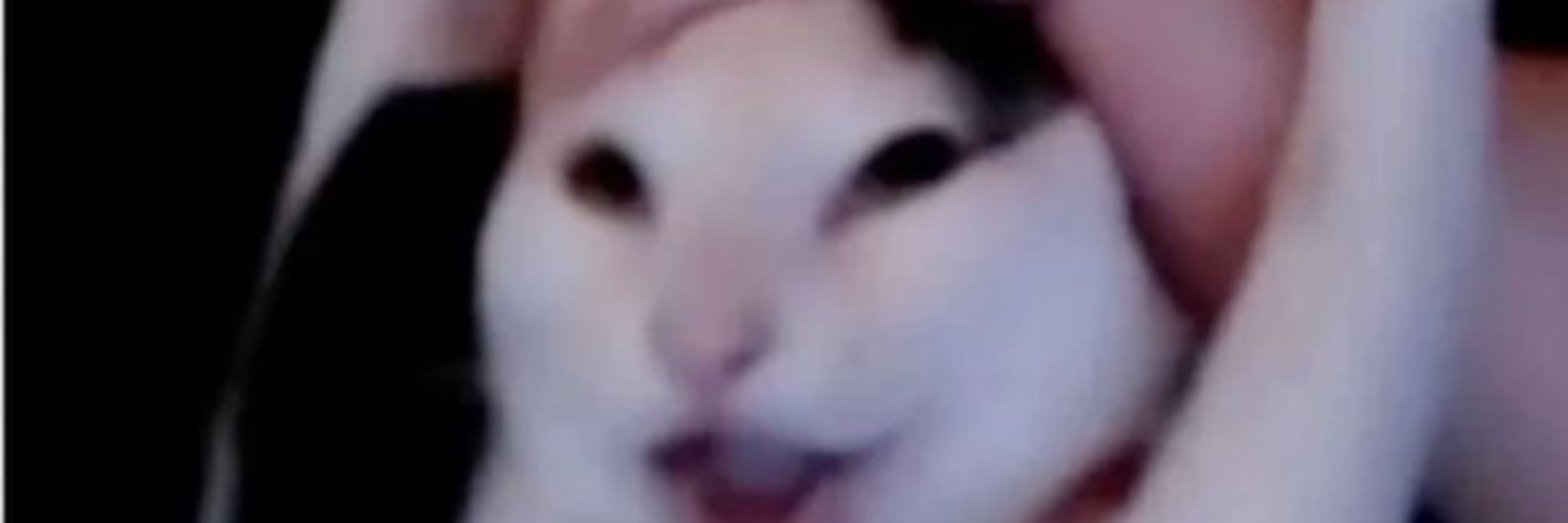Zapfreak