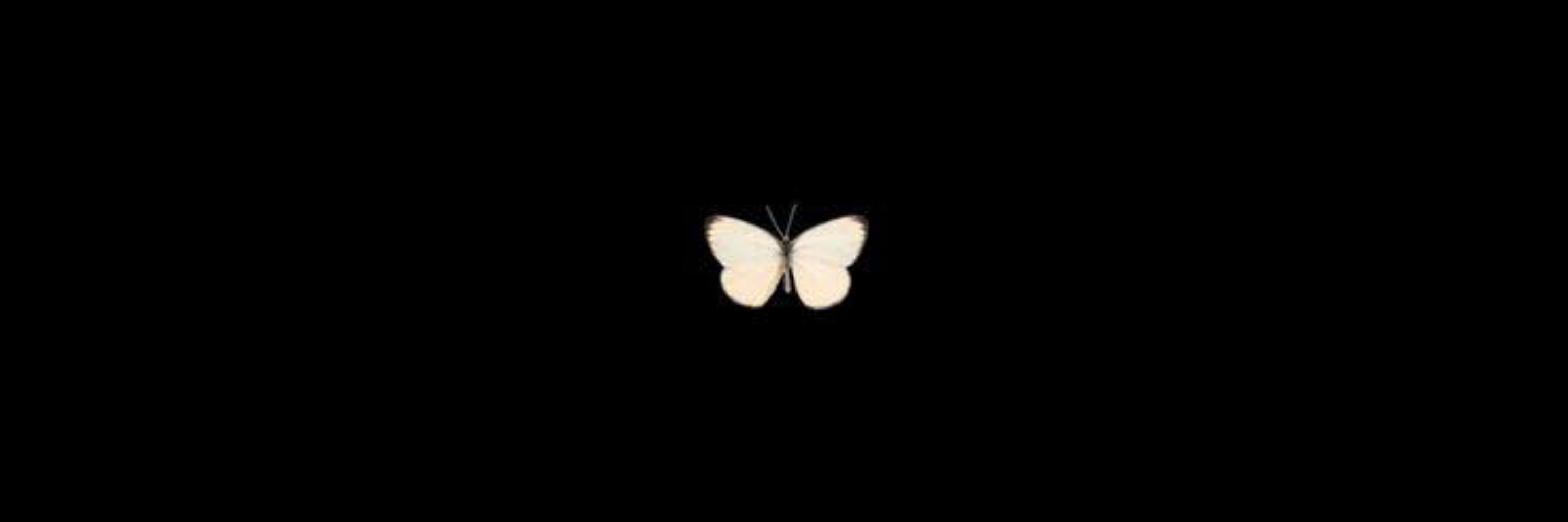 ˗ˏˋ ꒰ 𓆩🖤𓆪꒱ ˎˊ˗  ─── 𝘗𝘖𝘓𝘐𝘊𝘌 𝘖𝘍𝘍𝘐𝘊𝘌𝘙 𝘐𝘕 𝘓𝘈  𓆩ꨄ︎𓆪