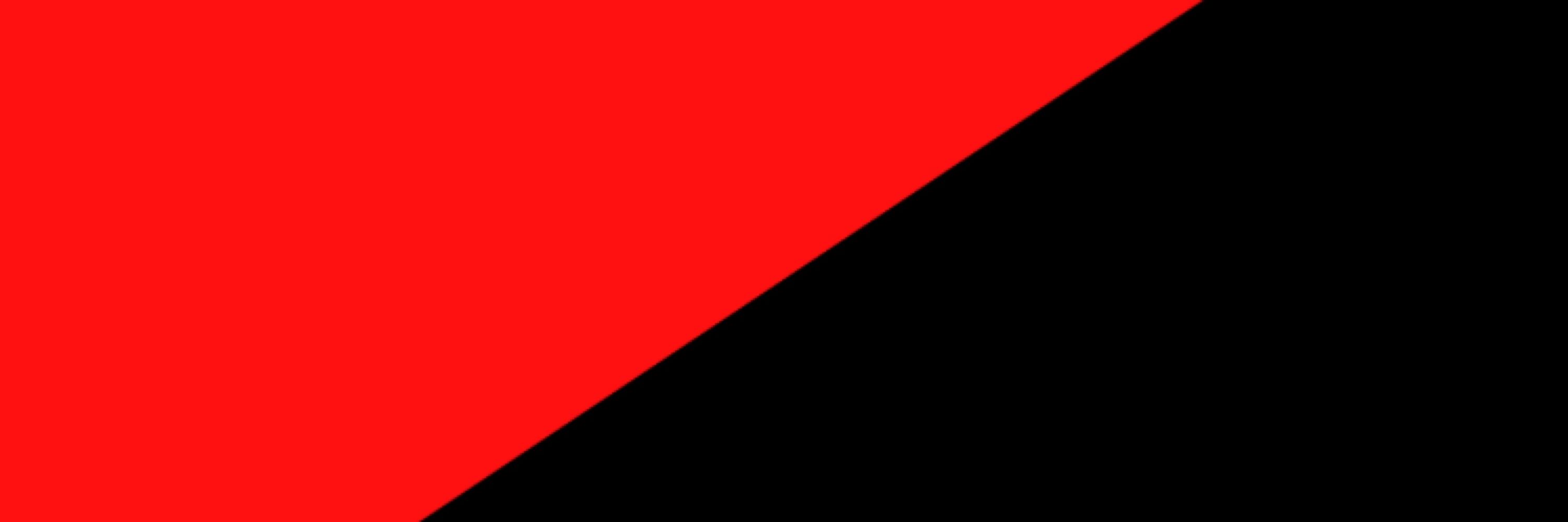 Mikhail Bakunin 🏴