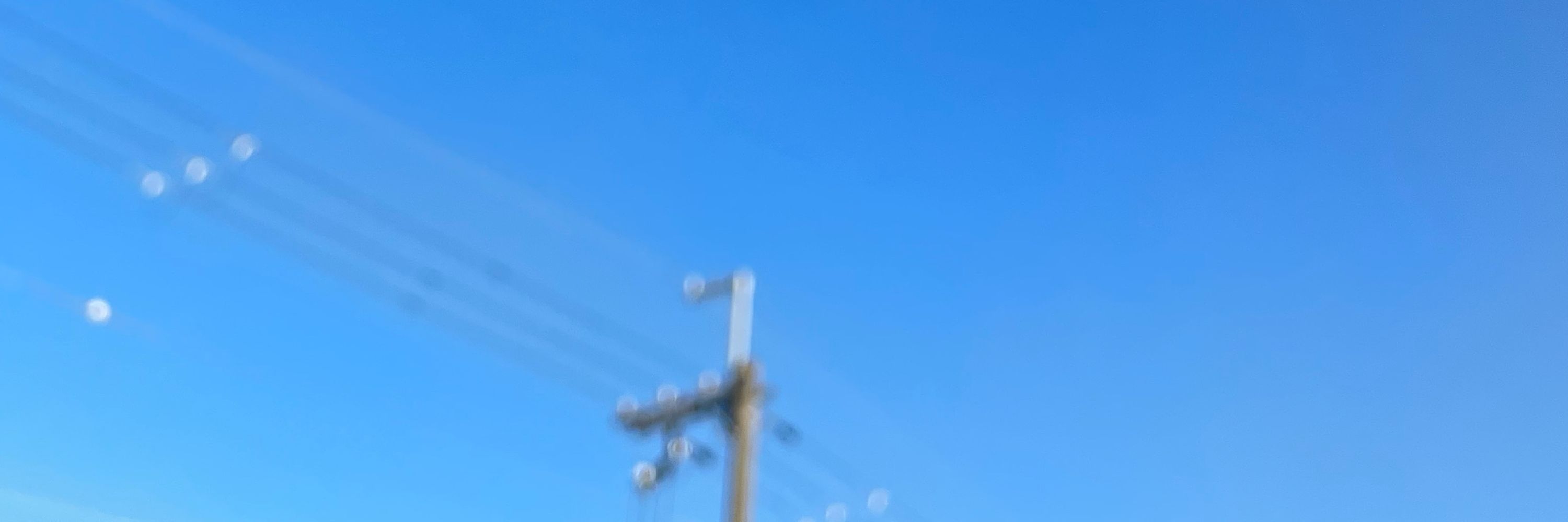 しのみや🪼