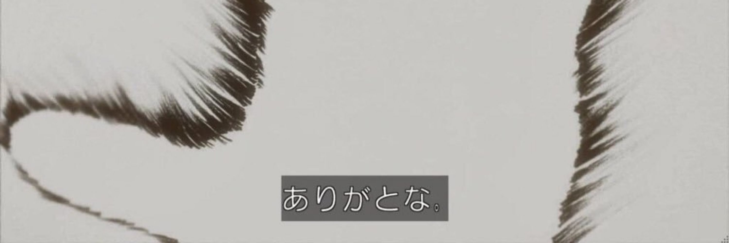 Kyuu