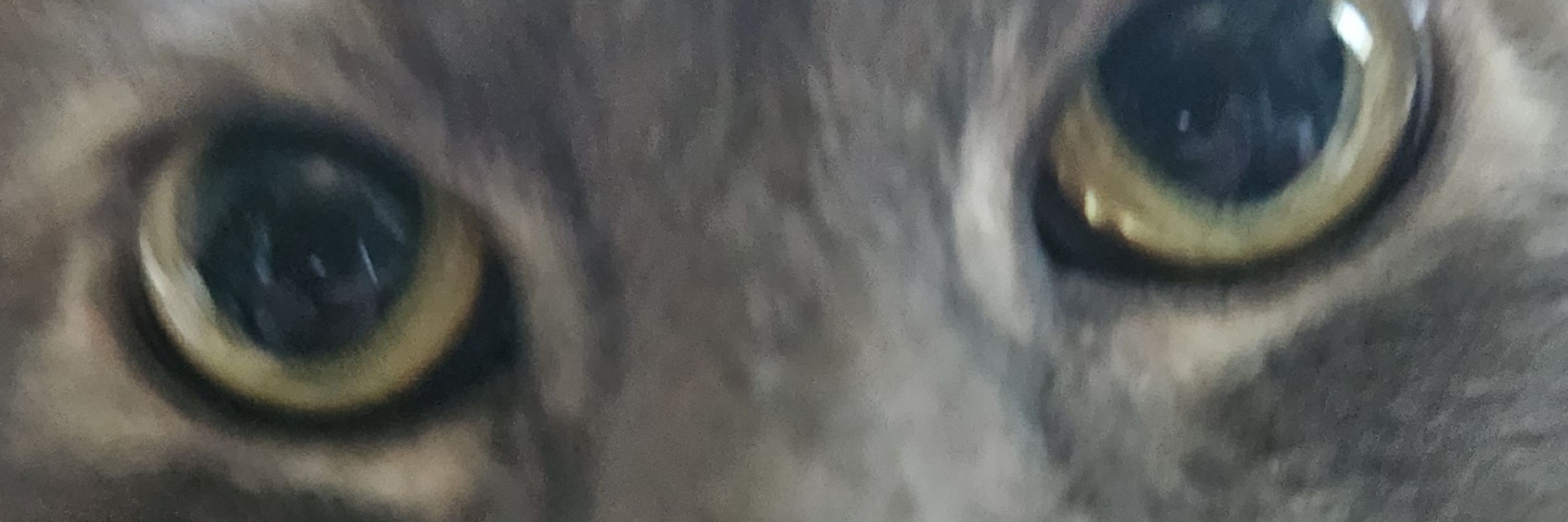 Jerome [REDACTED]
