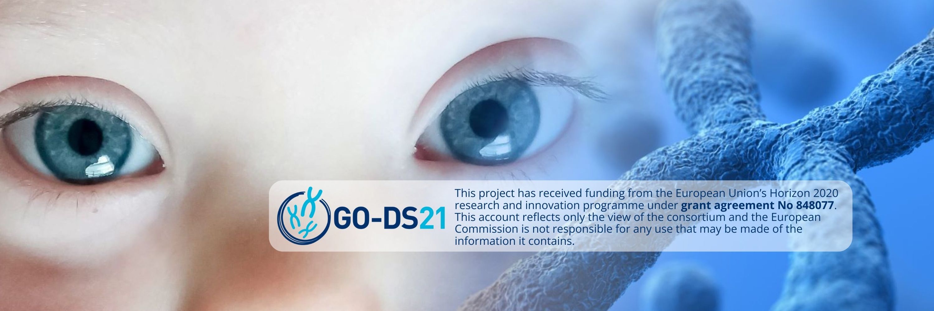 GO-DS21 Project