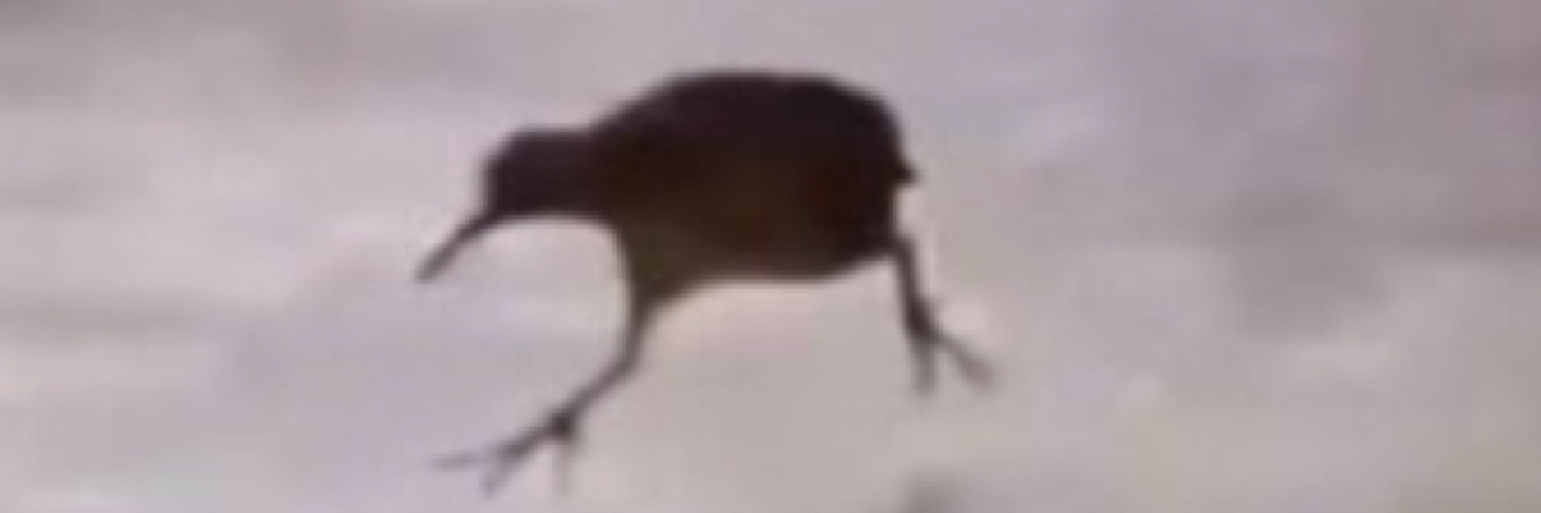 AeroSyx
