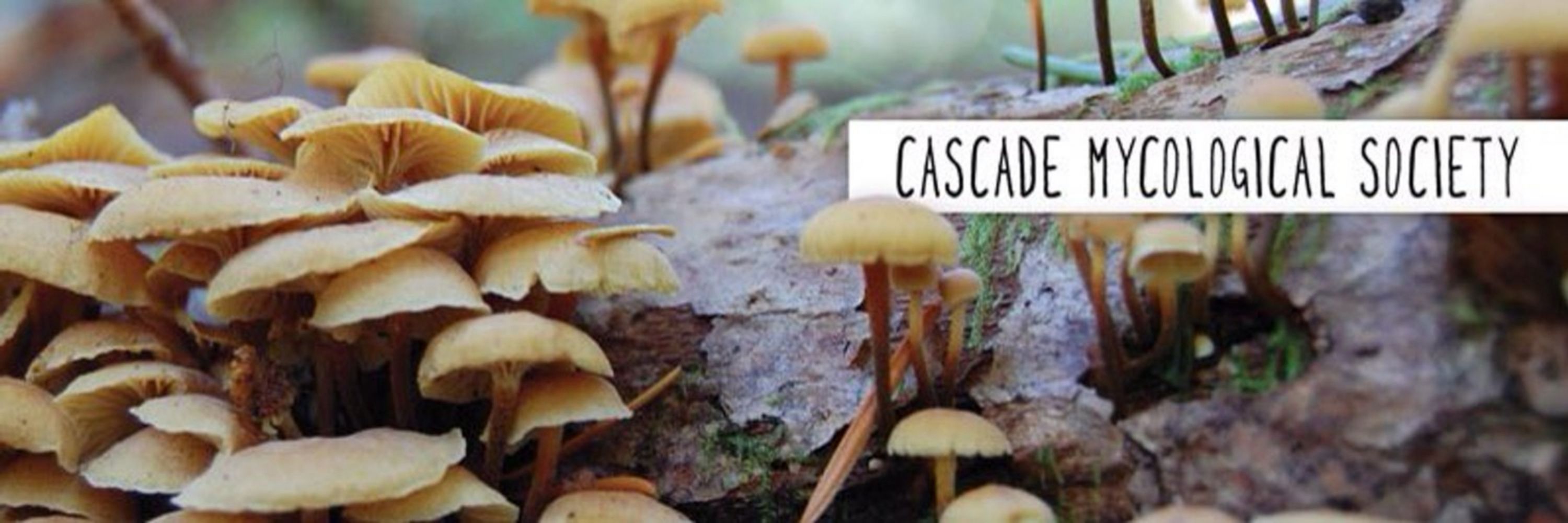 Cascade Mycological Society