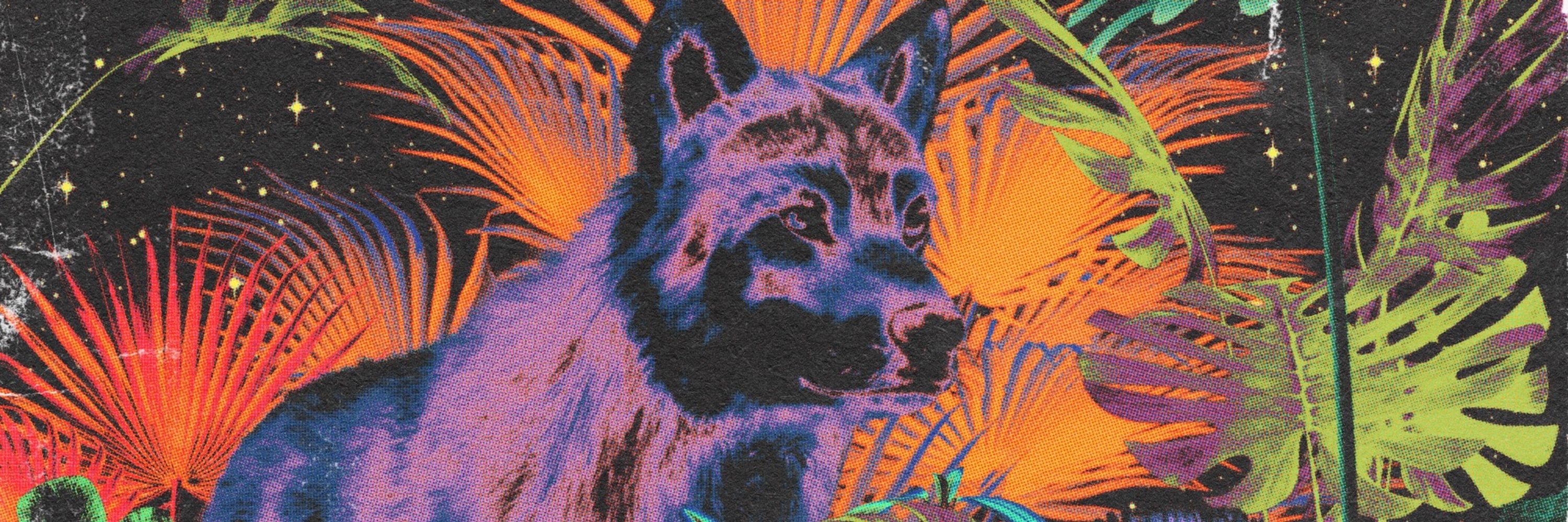 Coastal Wolves