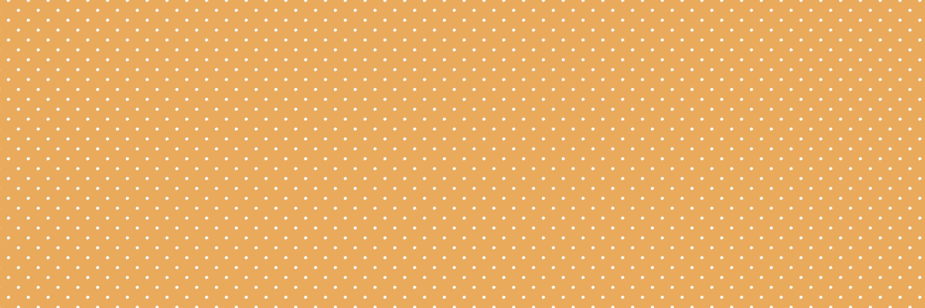 🍊