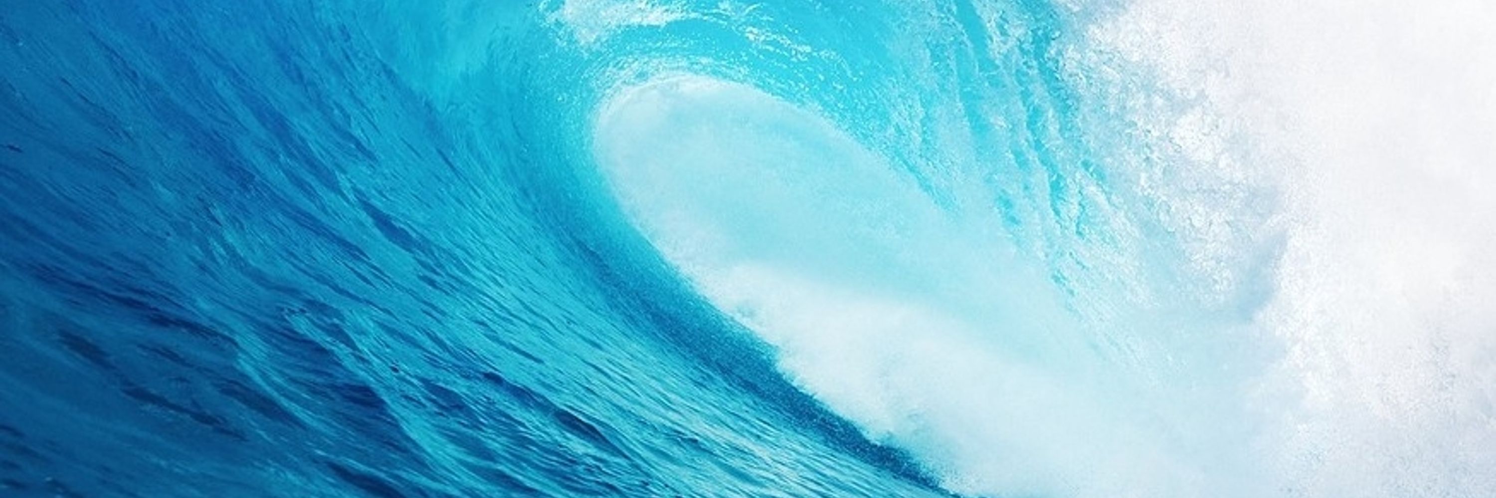 BLUE WAVE USA