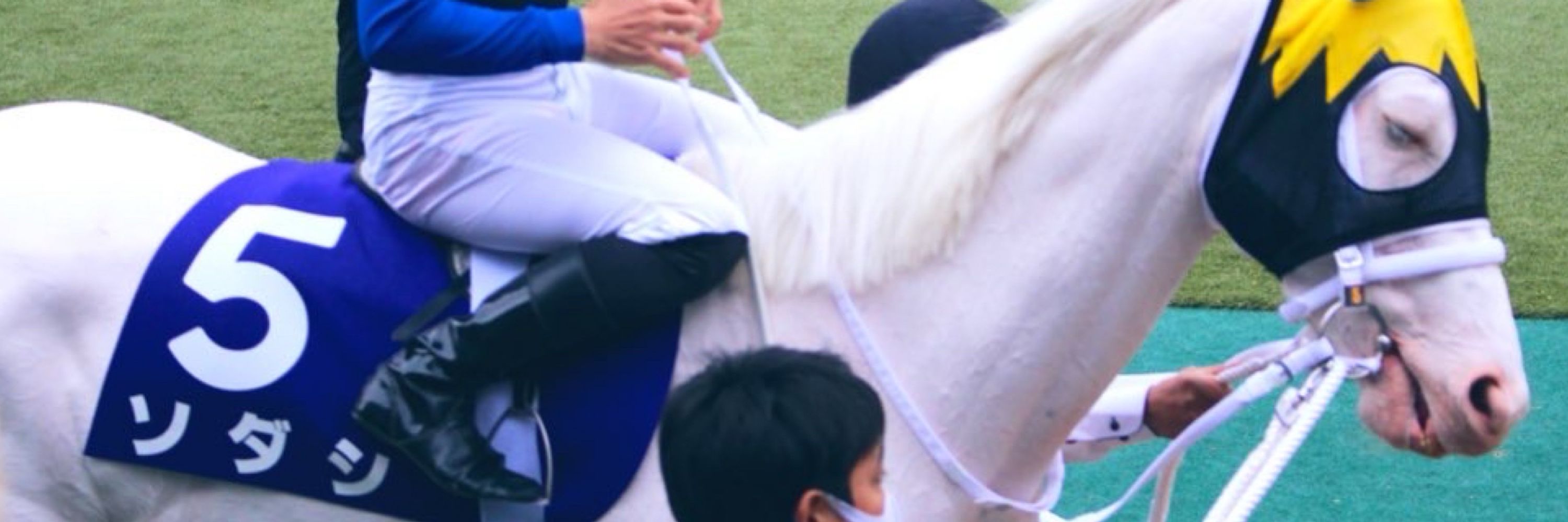 るー君🏇
