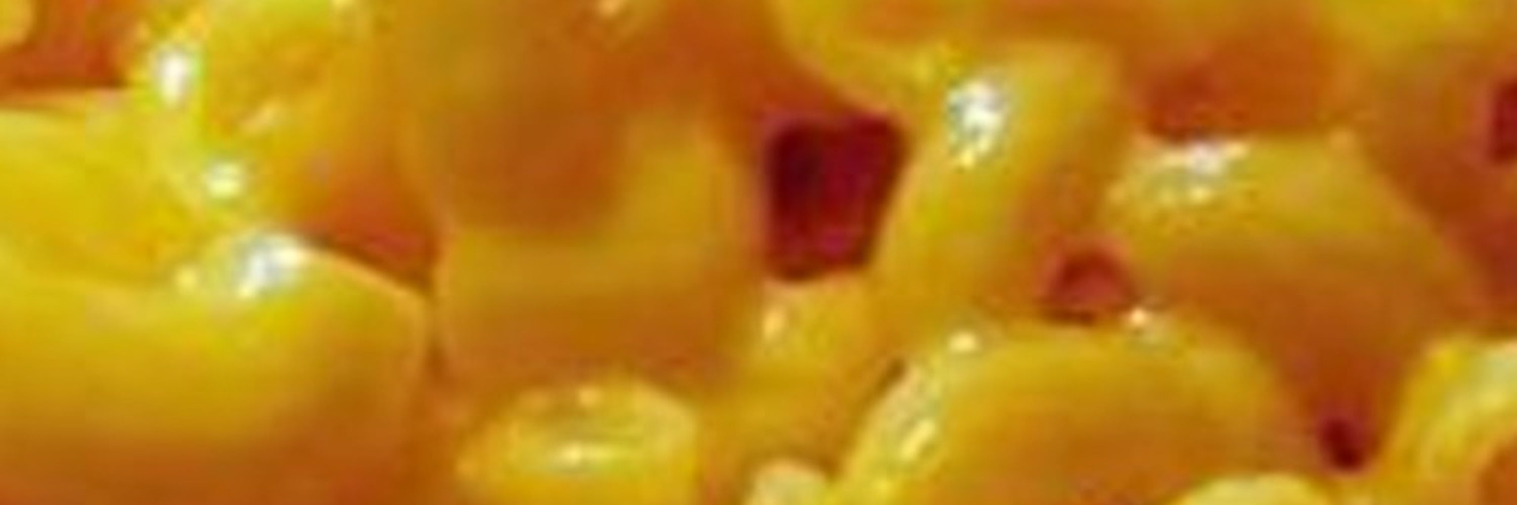 polterzeitgeist