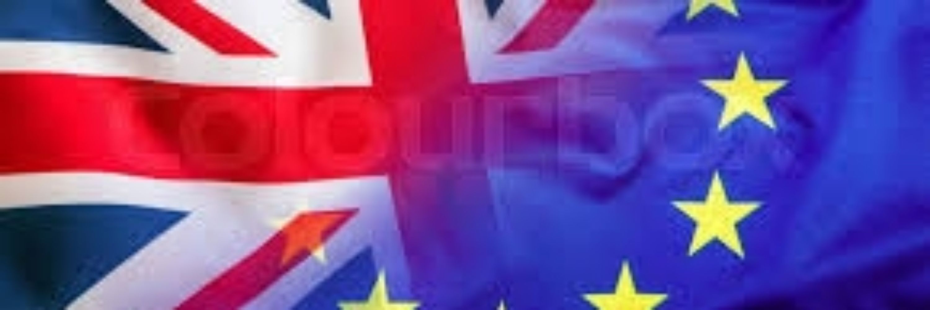 Steve #FBPE