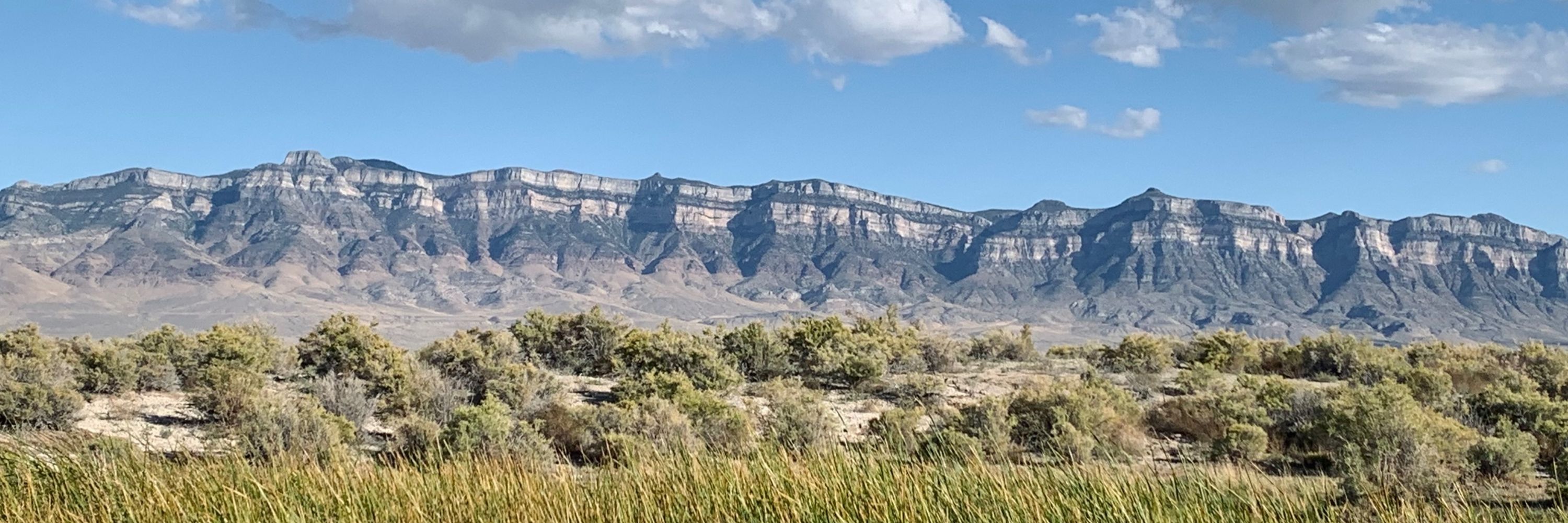 Great Basin Water Network 